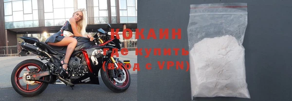 дживик Богородицк