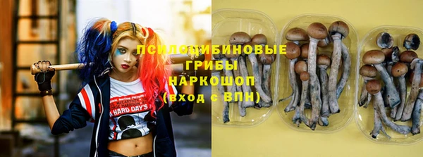 дживик Богородицк