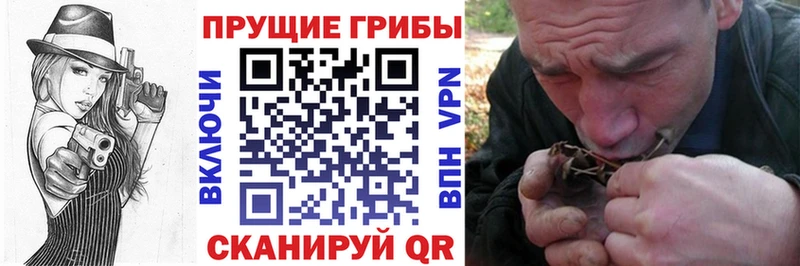 Галлюциногенные грибы Cubensis  Нижний Новгород 