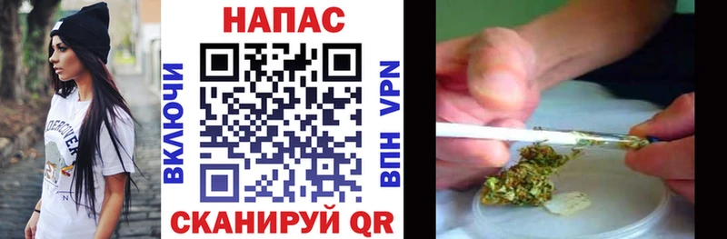 Конопля план  Нижний Новгород 